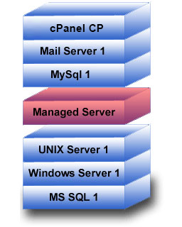 Dedicated Web Servers