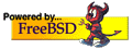 FREEBSD